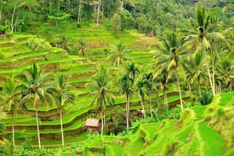 8 Things You Can't Miss In Bali - Page 2 of 8 - Destination Tips