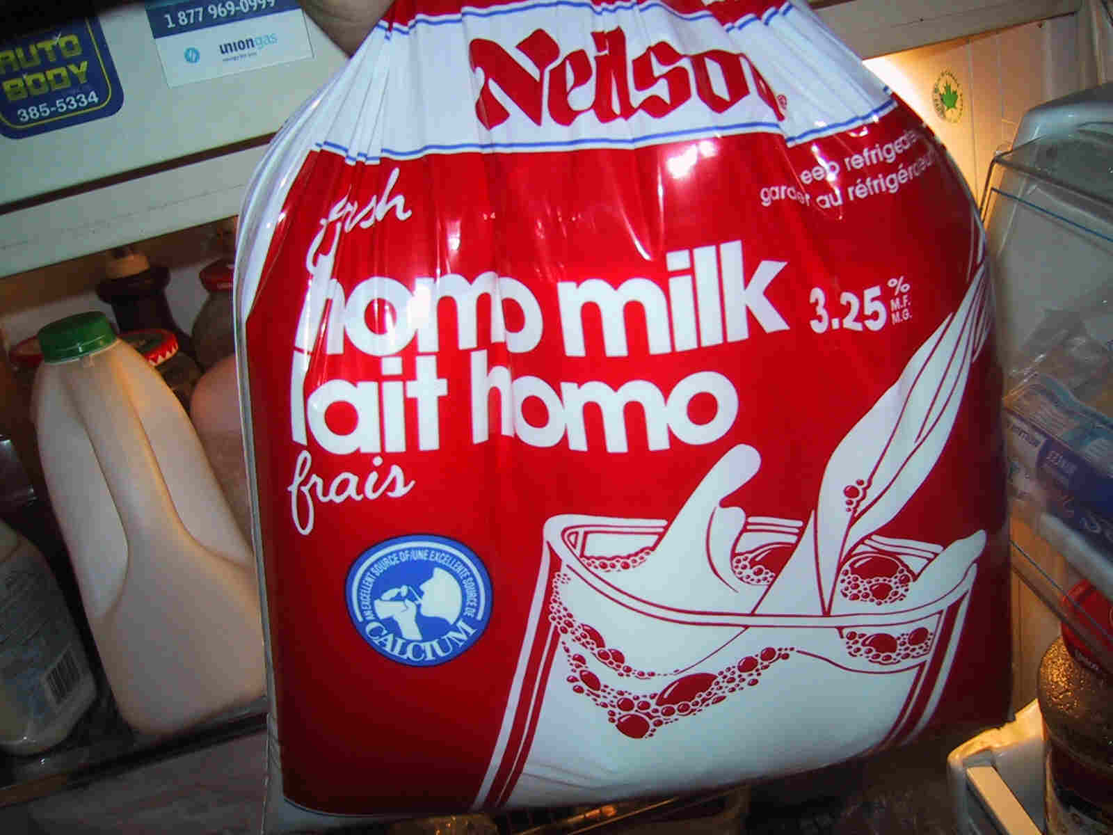 Milk outside a bag. Canadian Milk Bag. Молоко в Канаде. Хомо Милк. Milk Bags in Canada.