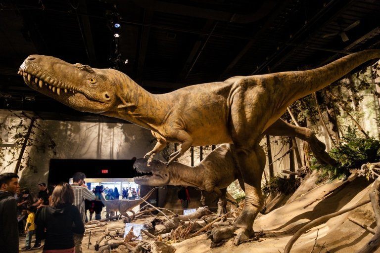 top 10 dinosaur museums