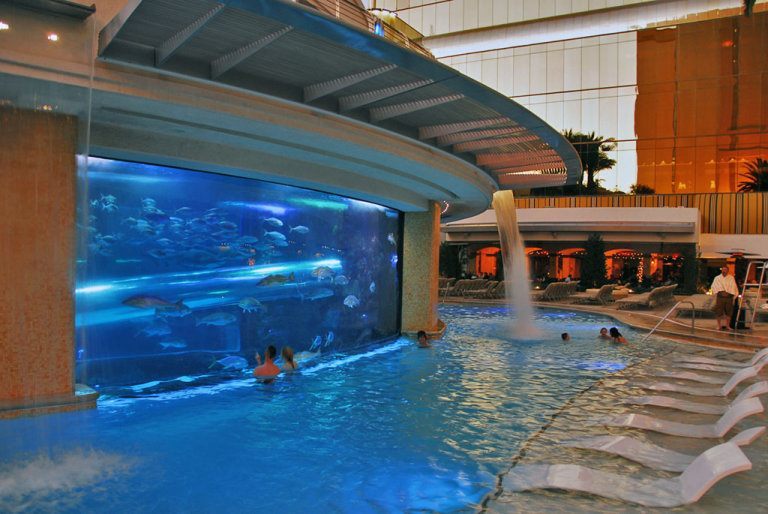 Golden Nugget shark tank pool party