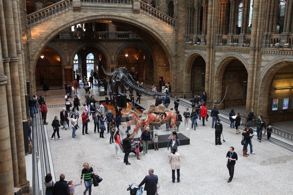 top dinosaur museums