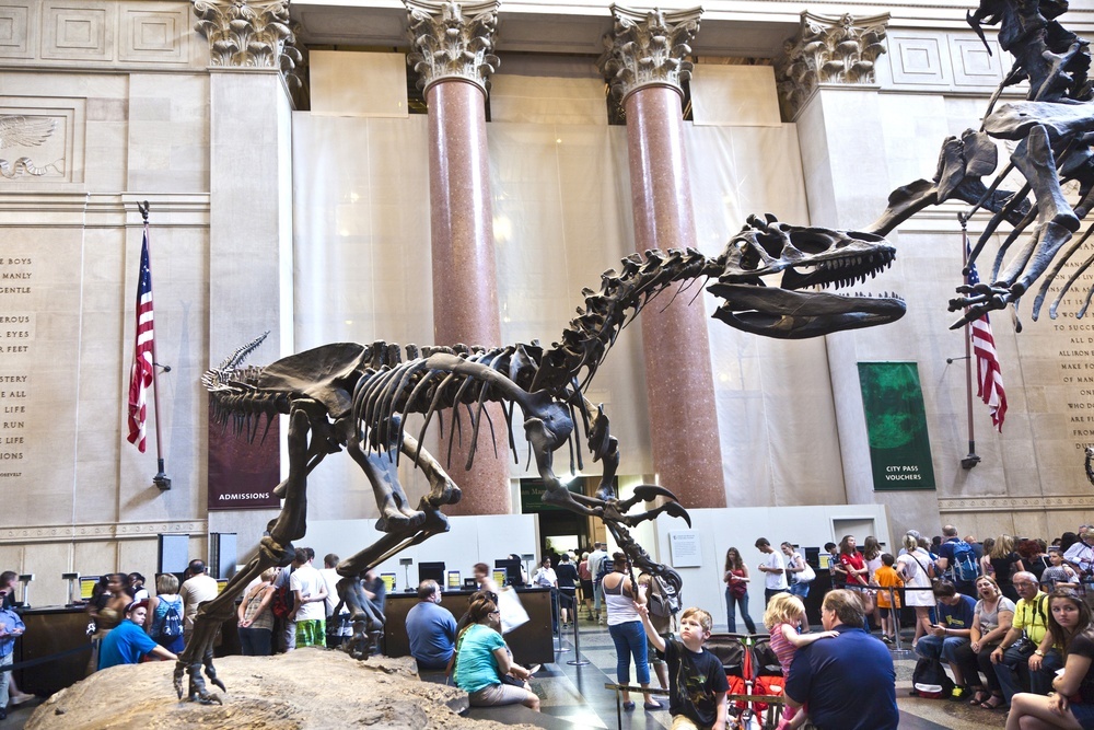 top dinosaur museums