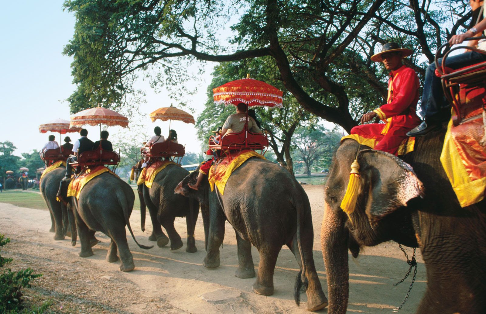 10 Reasons Why We Need to Stop Riding Elephants in Thailand ...