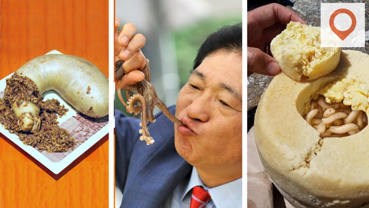 The 10 Worst Traditional Foods In The World Destination Tips